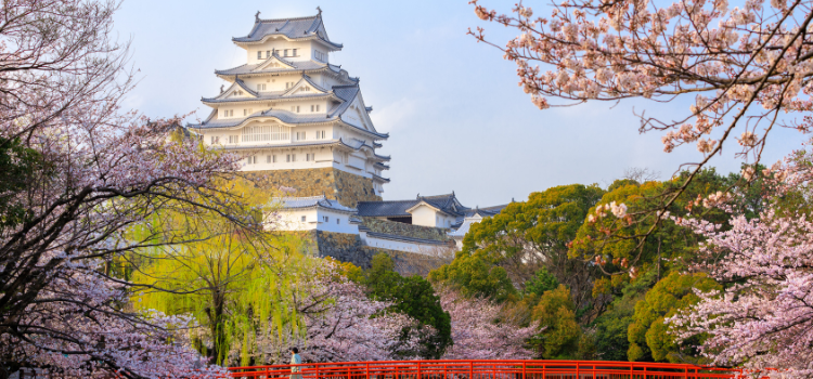 15 Exploring Japan Highlights