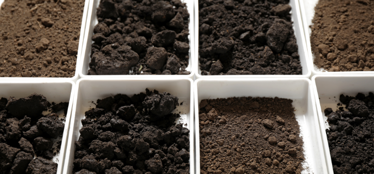 5 vegetable garden guide