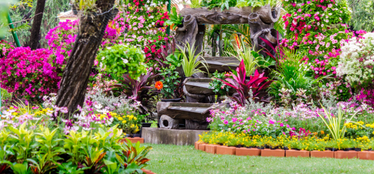 7 vegetable garden guide