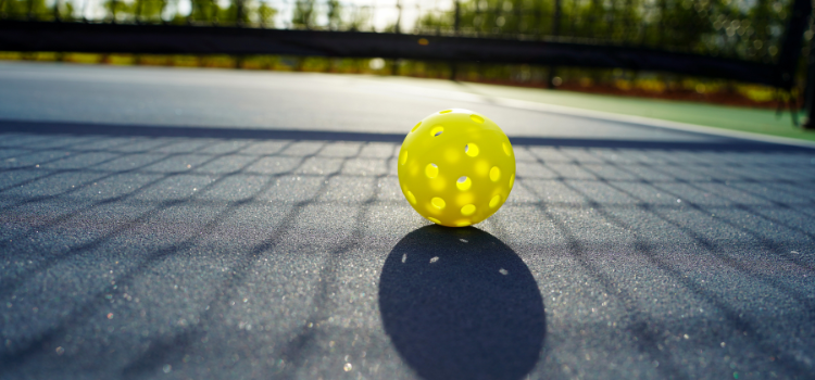 2 Pickleball 2024 guide.